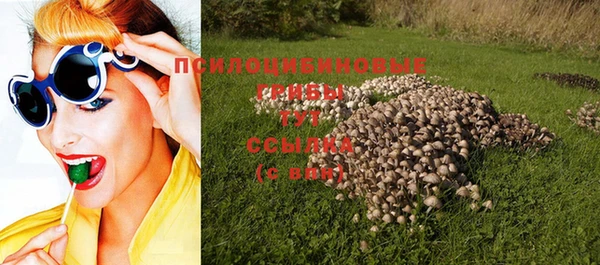 дмт Няндома