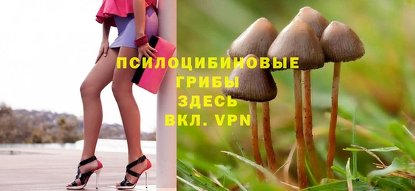 a pvp Осинники