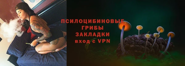 индика Осташков