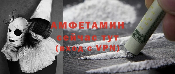 индика Осташков