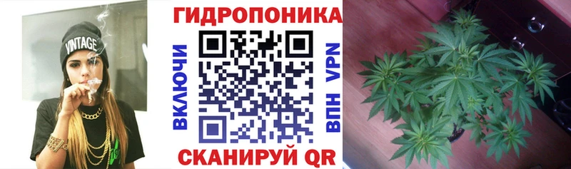 Конопля VHQ  дарнет шоп  Инсар 